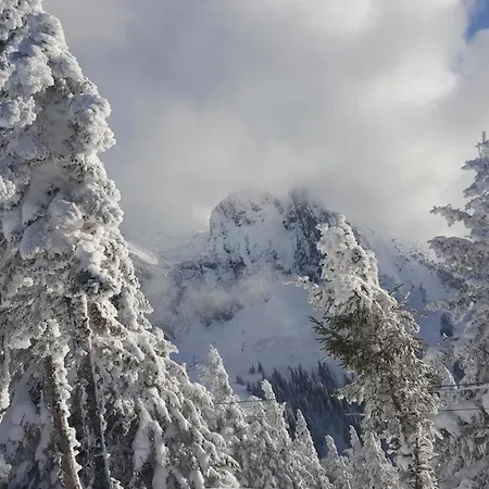 Alpenchalet Tirol בקתה *