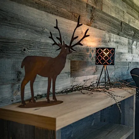 Alpenchalet Tirol בקתה וילס