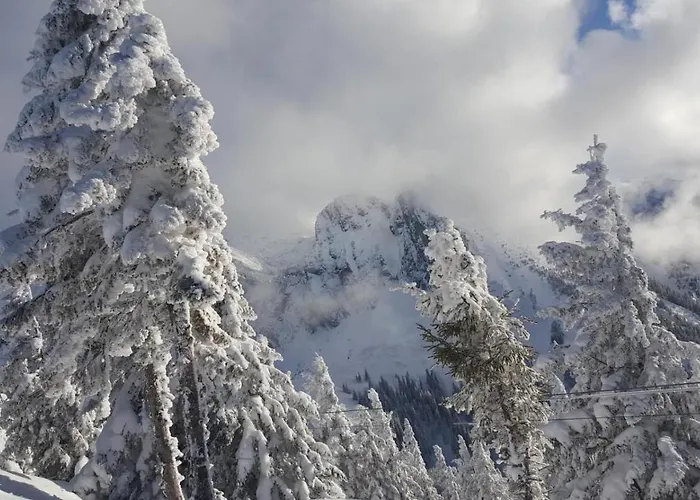 Alpenchalet Tirol Chalet *